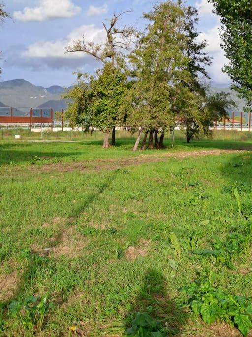 Appartamento Rossana - Luni Marinella di Sarzana Exterior foto